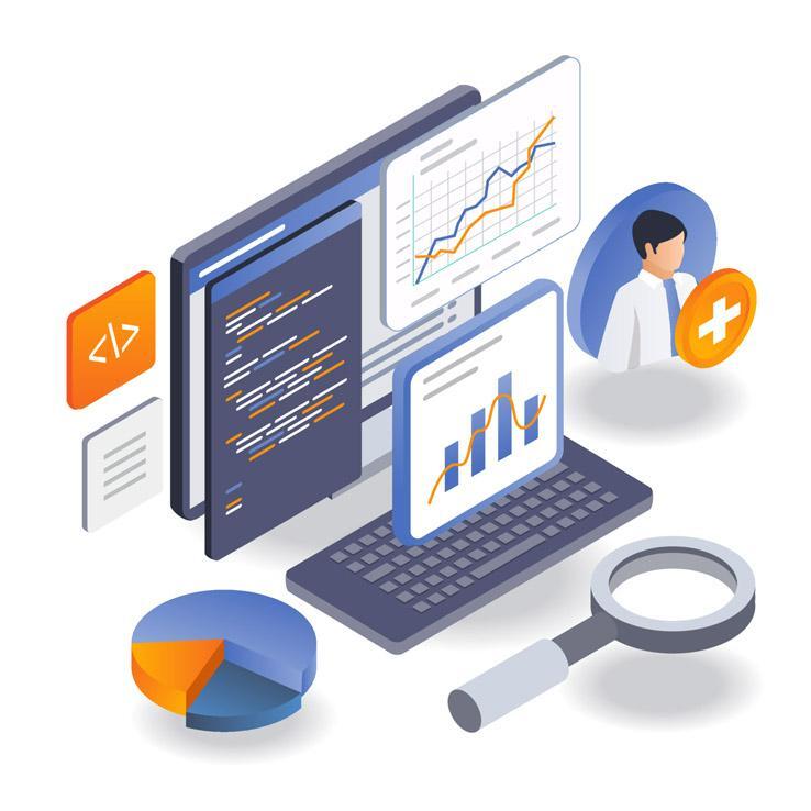 A custom application built from code, dashboards and reports